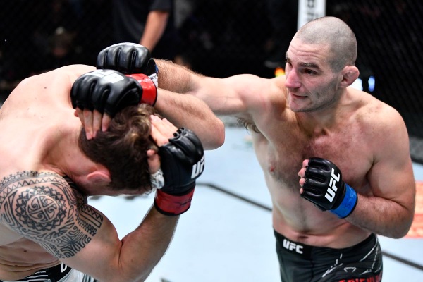 predicciones, quotas ufc